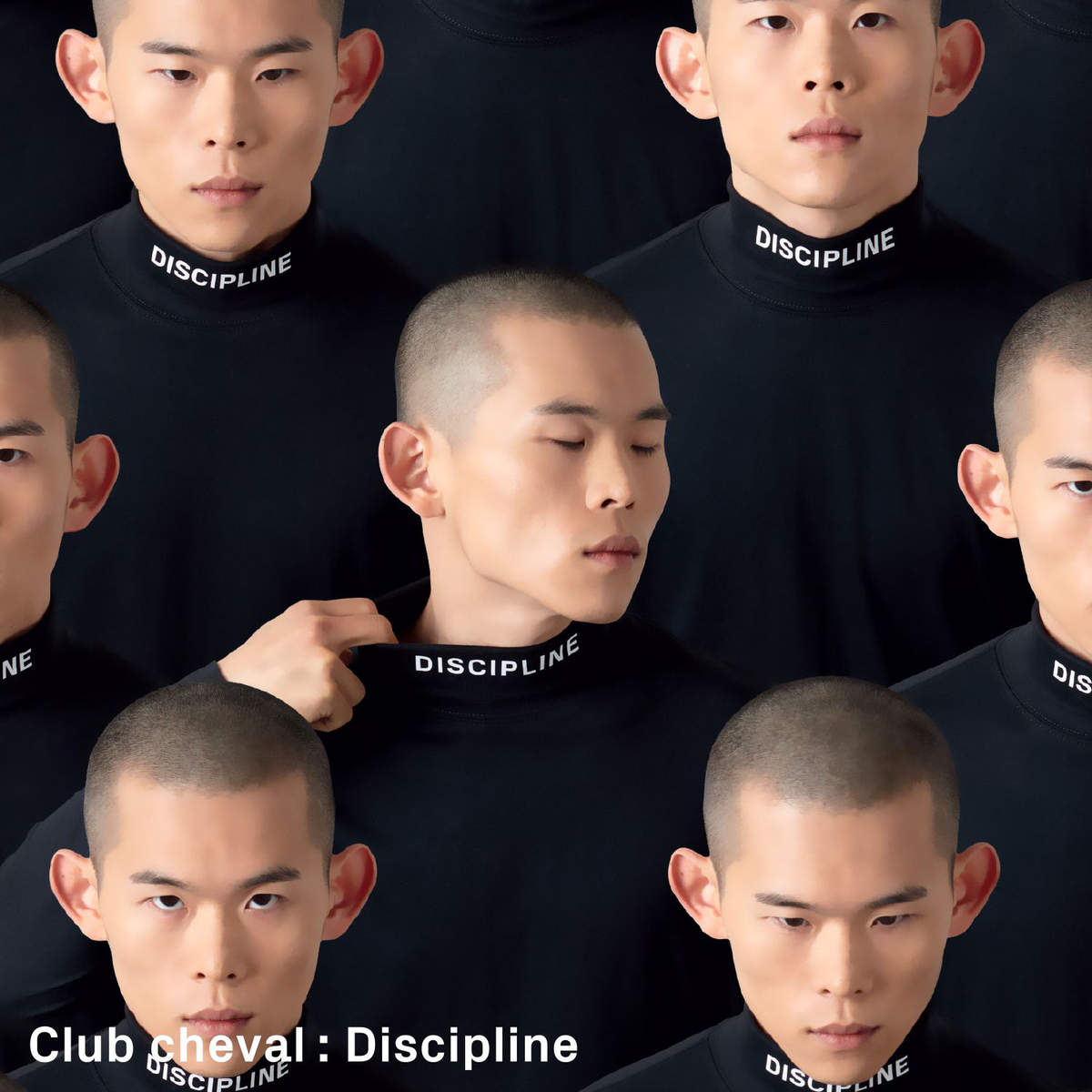 Discipline – Club cheval