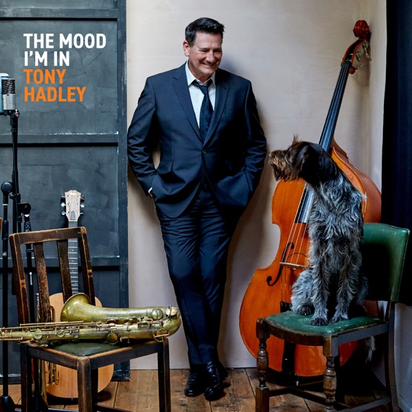 The Mood I'm In (Cream Vinyl) – Tony Hadley