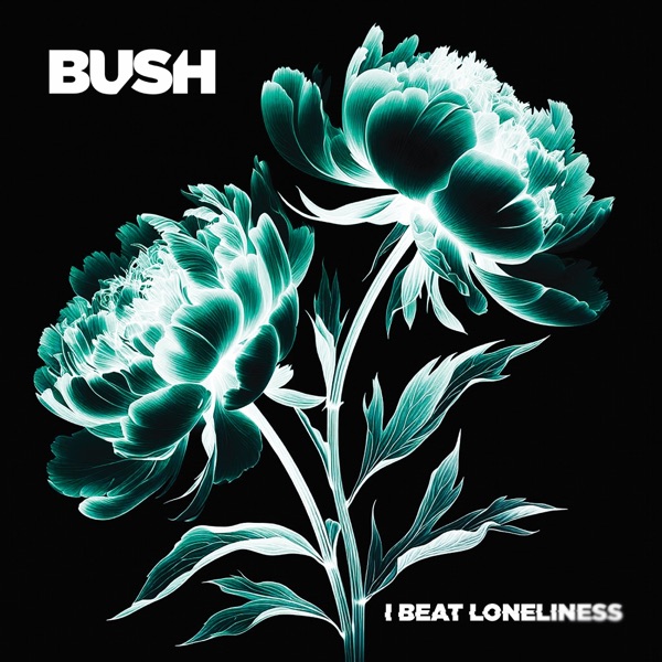 I Beat Loneliness – Bush