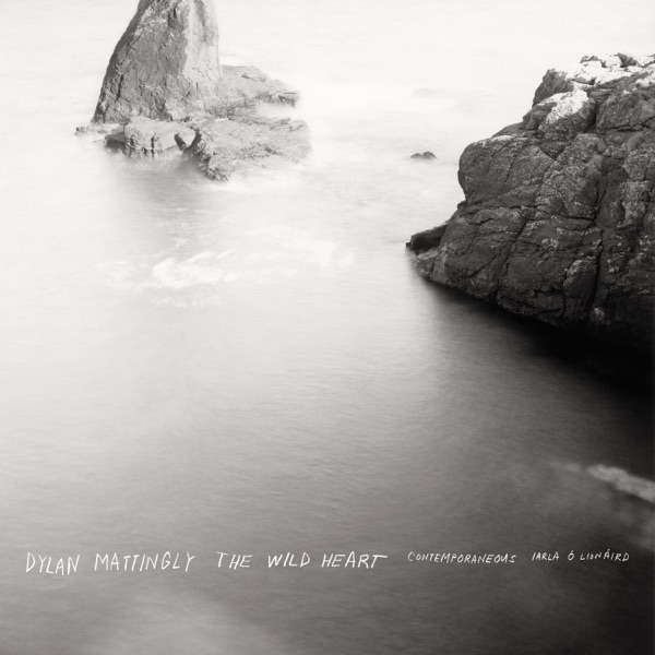 Dylan Mattingly: The Wild Heart – Contemporaneous & David Bloom