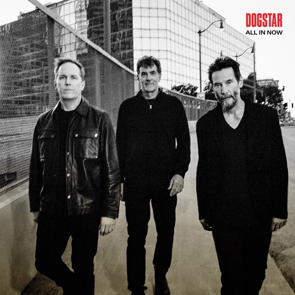 All In Now – Dogstar